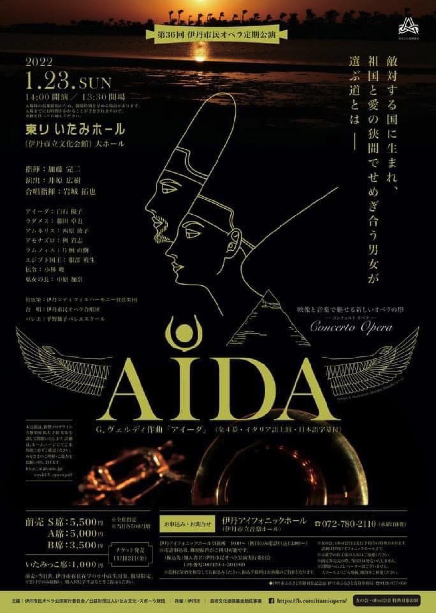 AIDA01 copy